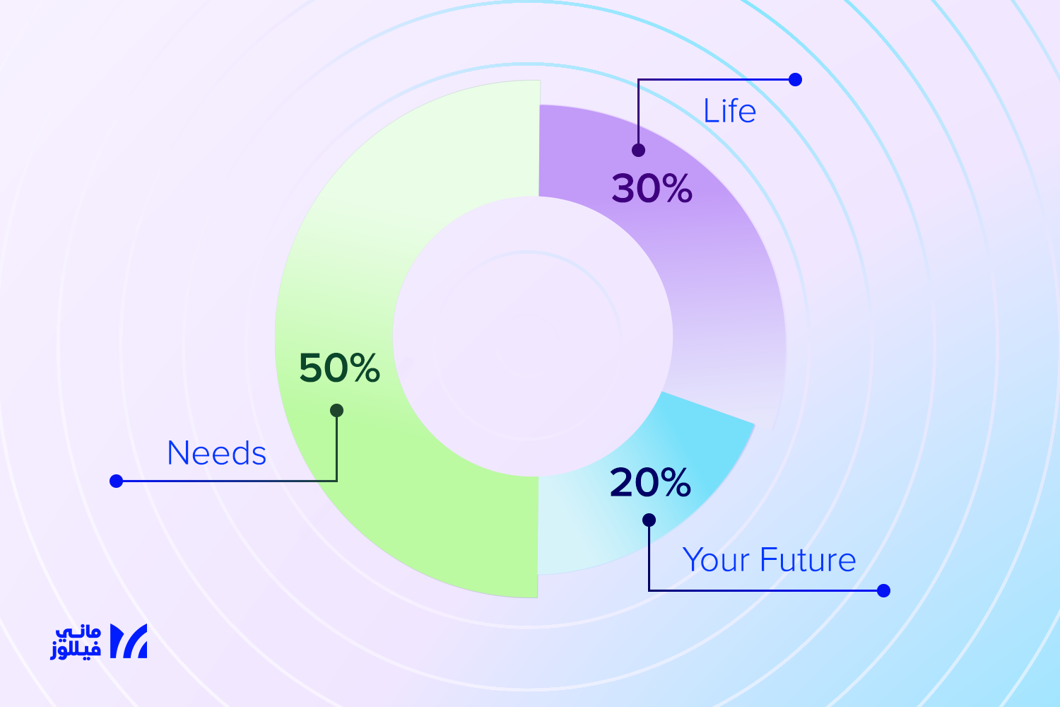 A graph for 50,30,20 rule for financial wellness and saving on Money Fellows blog